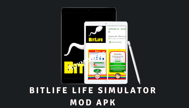 BitLife Life Simulator MOD APK 