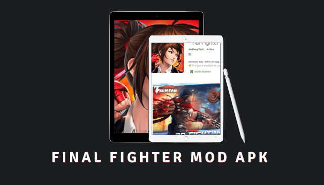 Final Fighter MOD APK