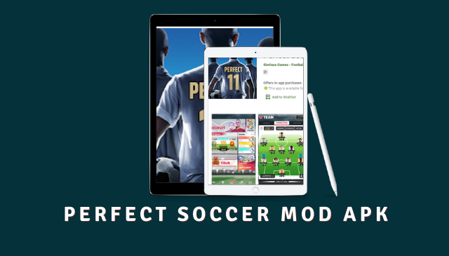 Perfect Soccer MOD APK