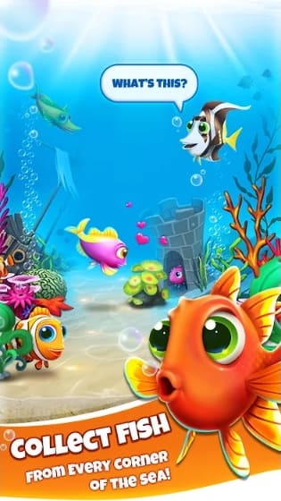 Fish Mania MOD APK Free Download
